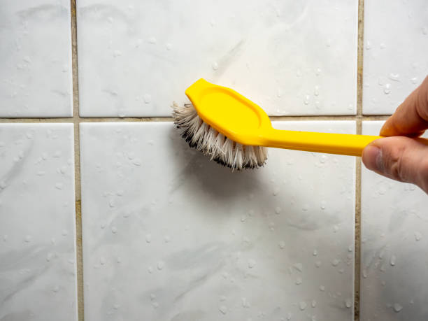 Best Mold Testing and Inspection Services in Salinas, CA