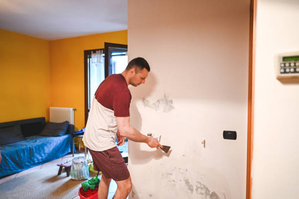 Best Black Mold Remediation in Salinas, CA